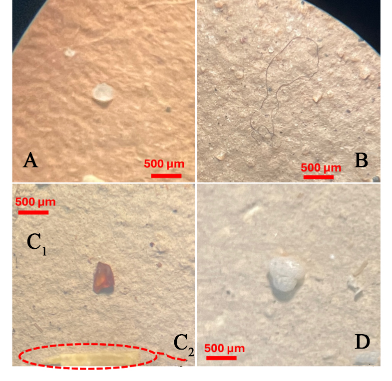 Quantification and identification of microplastic in sediment and surface water from selected areas in the Brunei ecosystem
