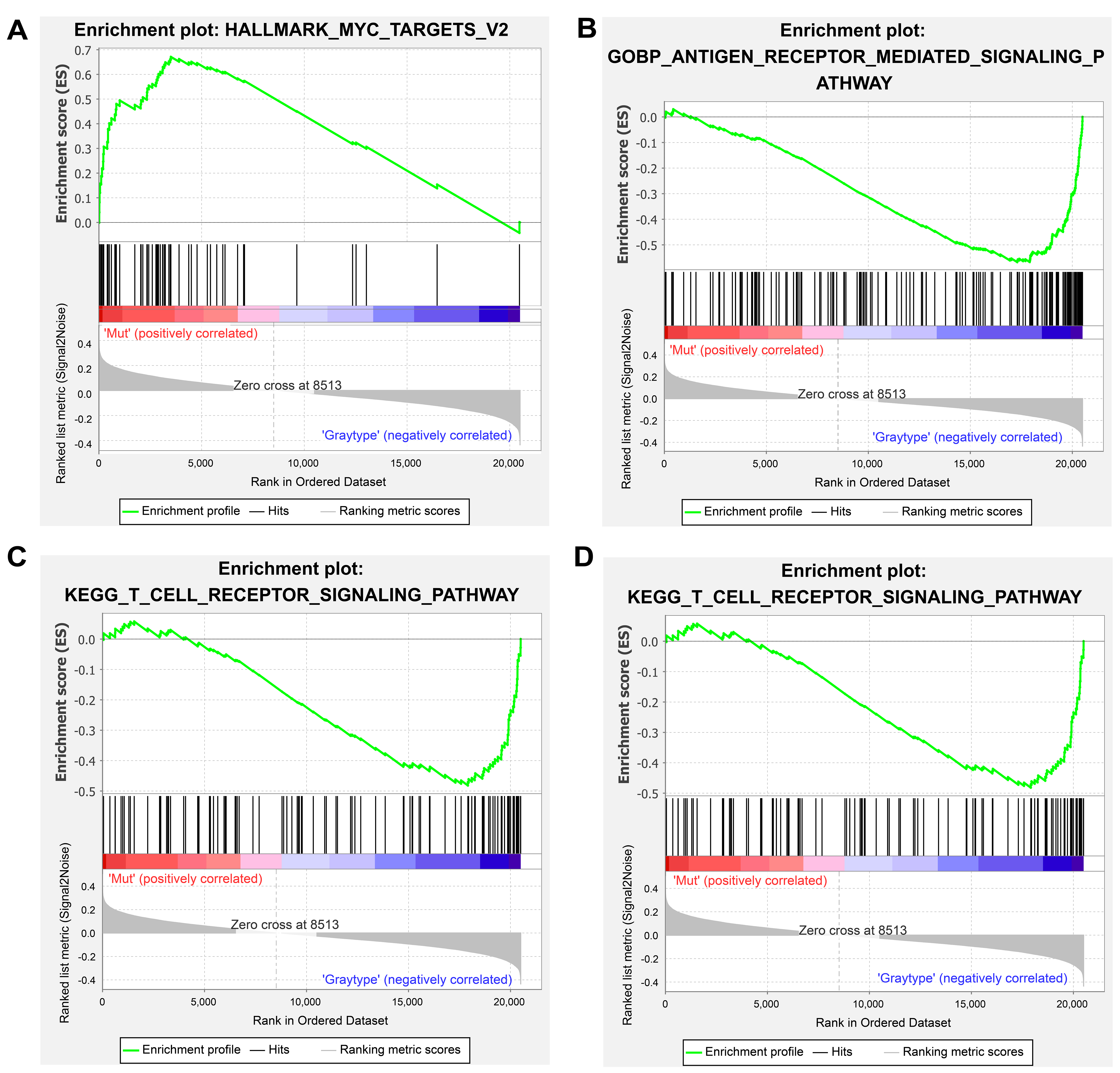  <i>ROS1</i> mutations promote an immunosuppressive tumor microenvironment via <i>MYC</i> to confer immune evasion in head and neck cancer