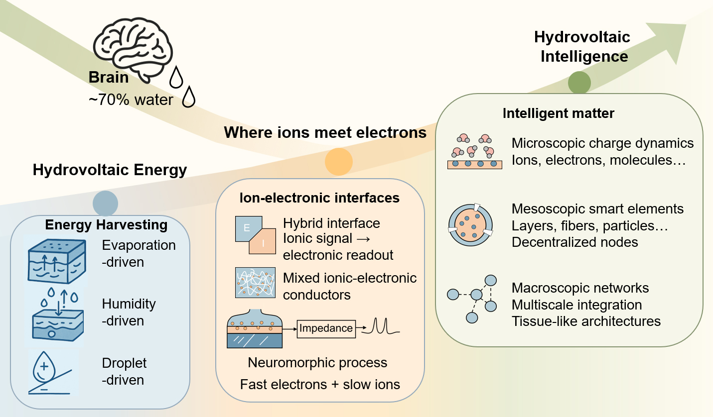 Hydrovoltaic energy and intelligence: where ions meet electrons