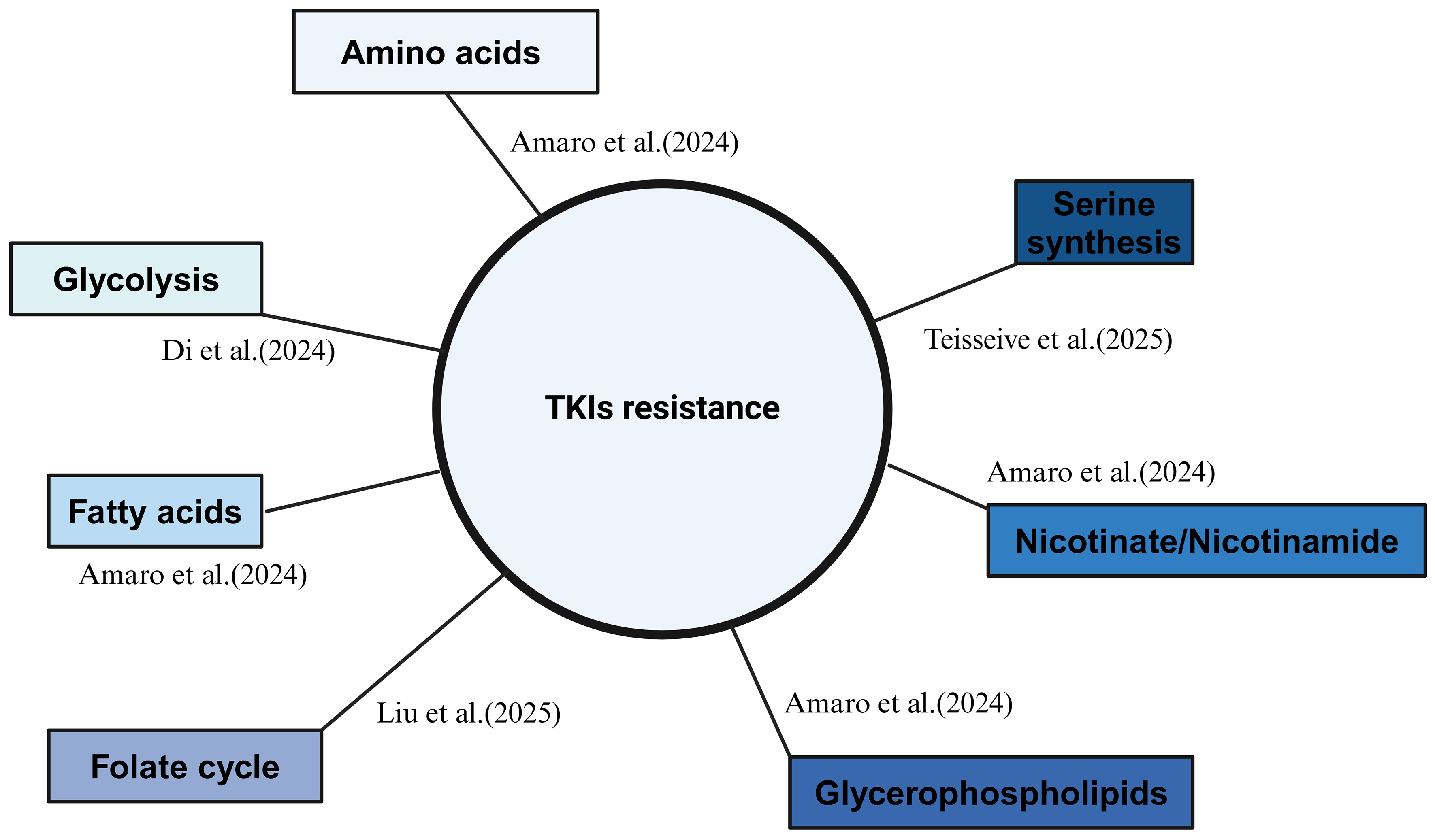 Recent progress on tyrosine kinase inhibitors resistance in renal cell carcinoma: another brick in the wall?