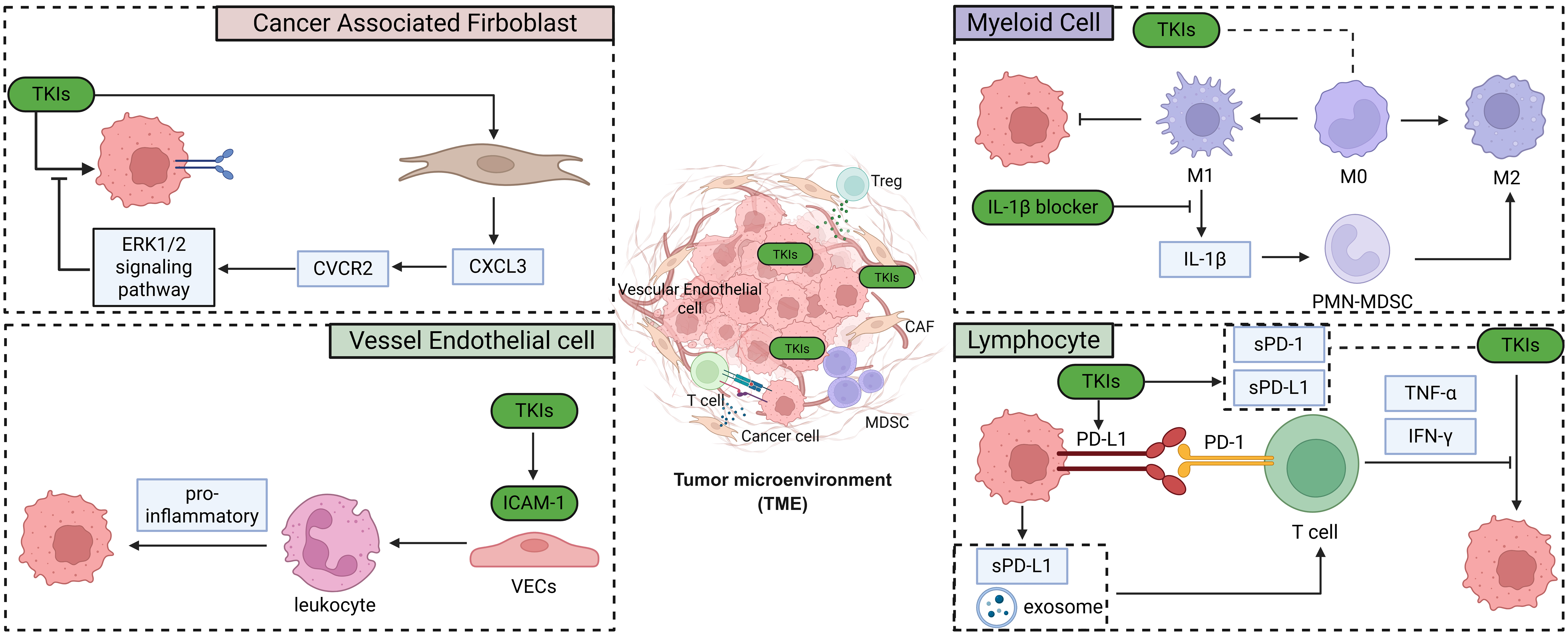 Recent progress on tyrosine kinase inhibitors resistance in renal cell carcinoma: another brick in the wall?