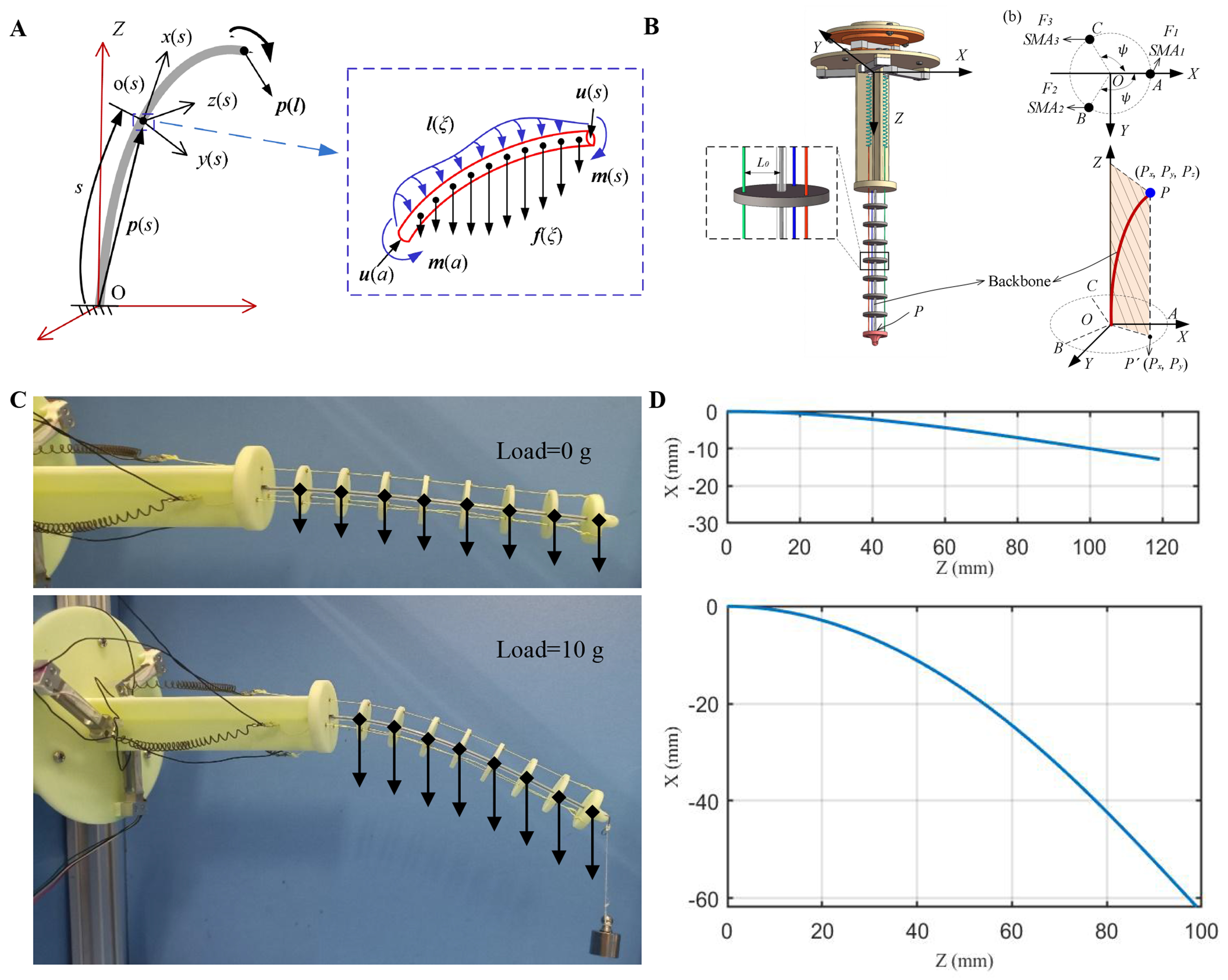 Load-adaptive shape sensing and control of a tendon-driven continuum robot actuated by SMA springs