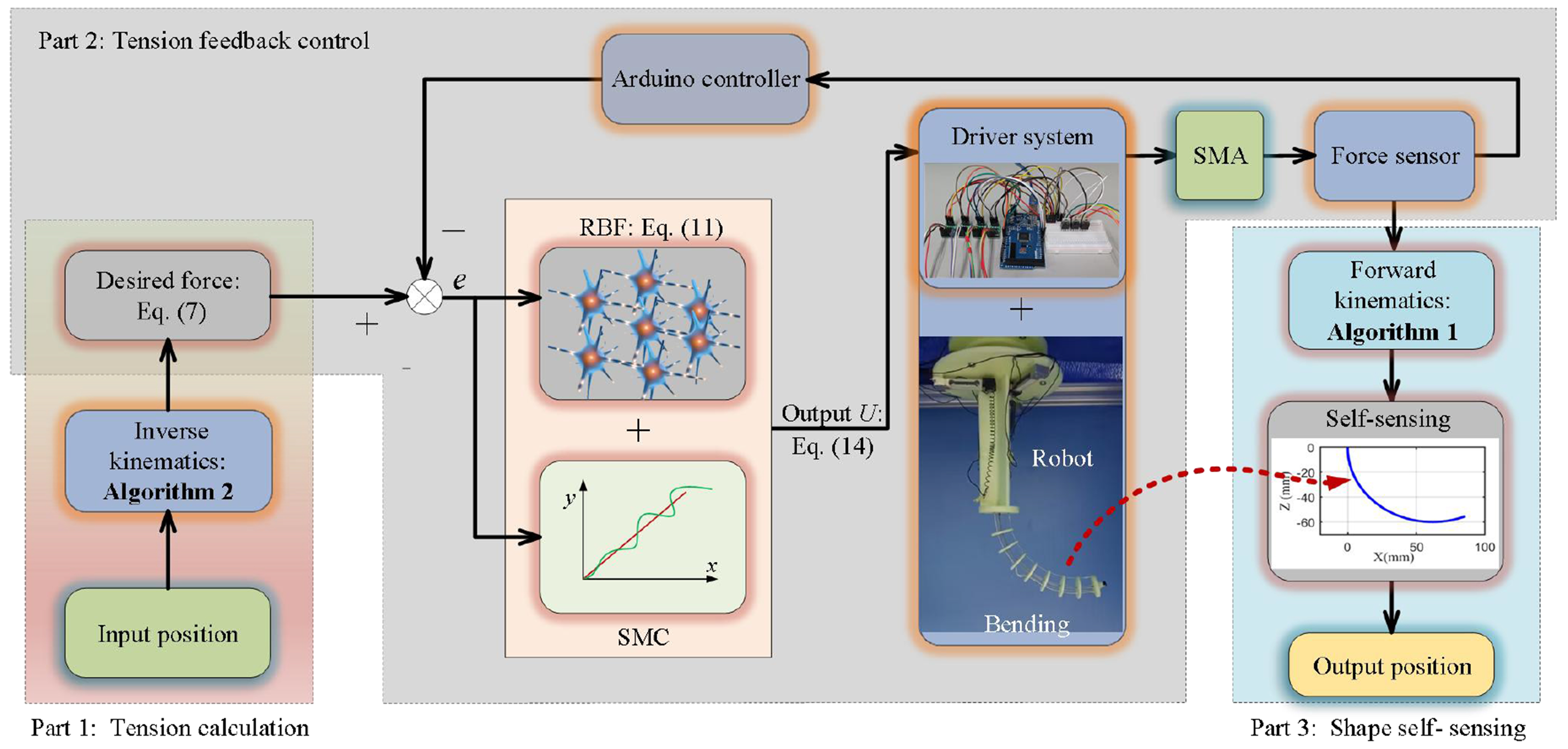 Load-adaptive shape sensing and control of a tendon-driven continuum robot actuated by SMA springs