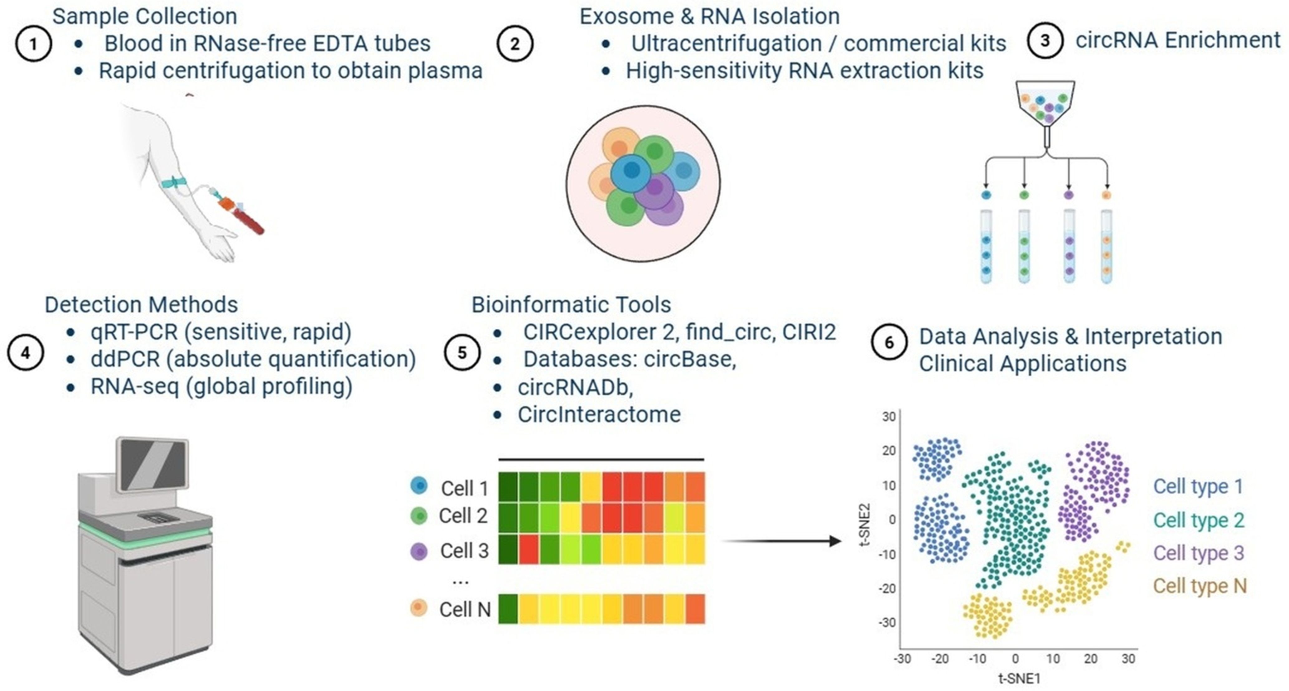 Circular RNA-based liquid biopsy: a promising approach for monitoring drug resistance in cancer