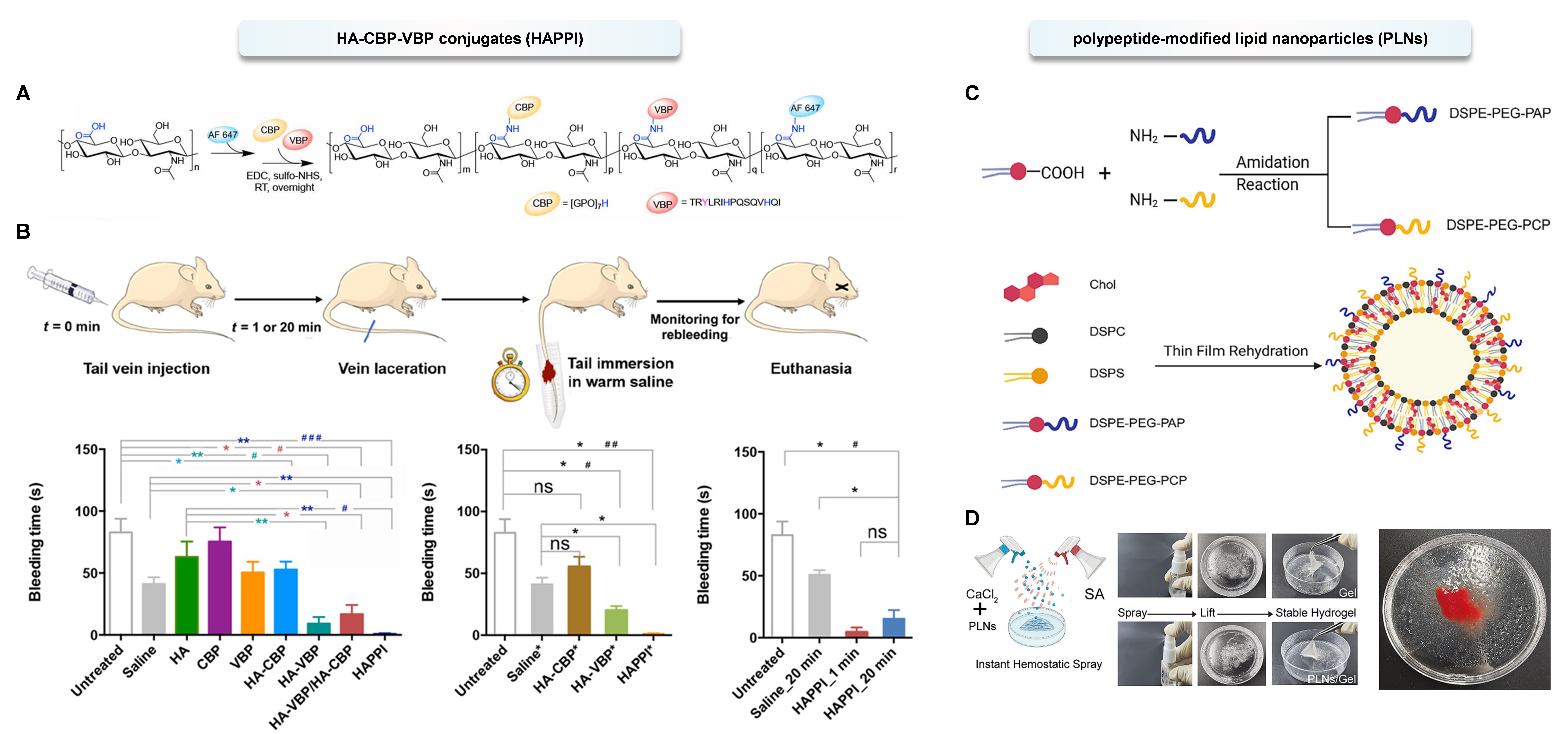 Multi-functional platelets: translating biological functions into therapeutic applications