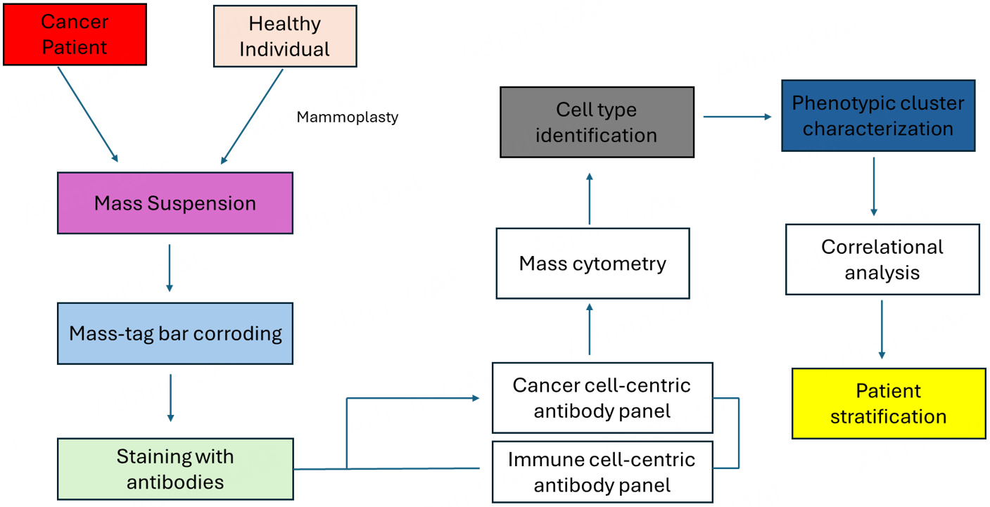 Next-gen diagnostics: artificial intelligence-powered imaging in breast cancer care
