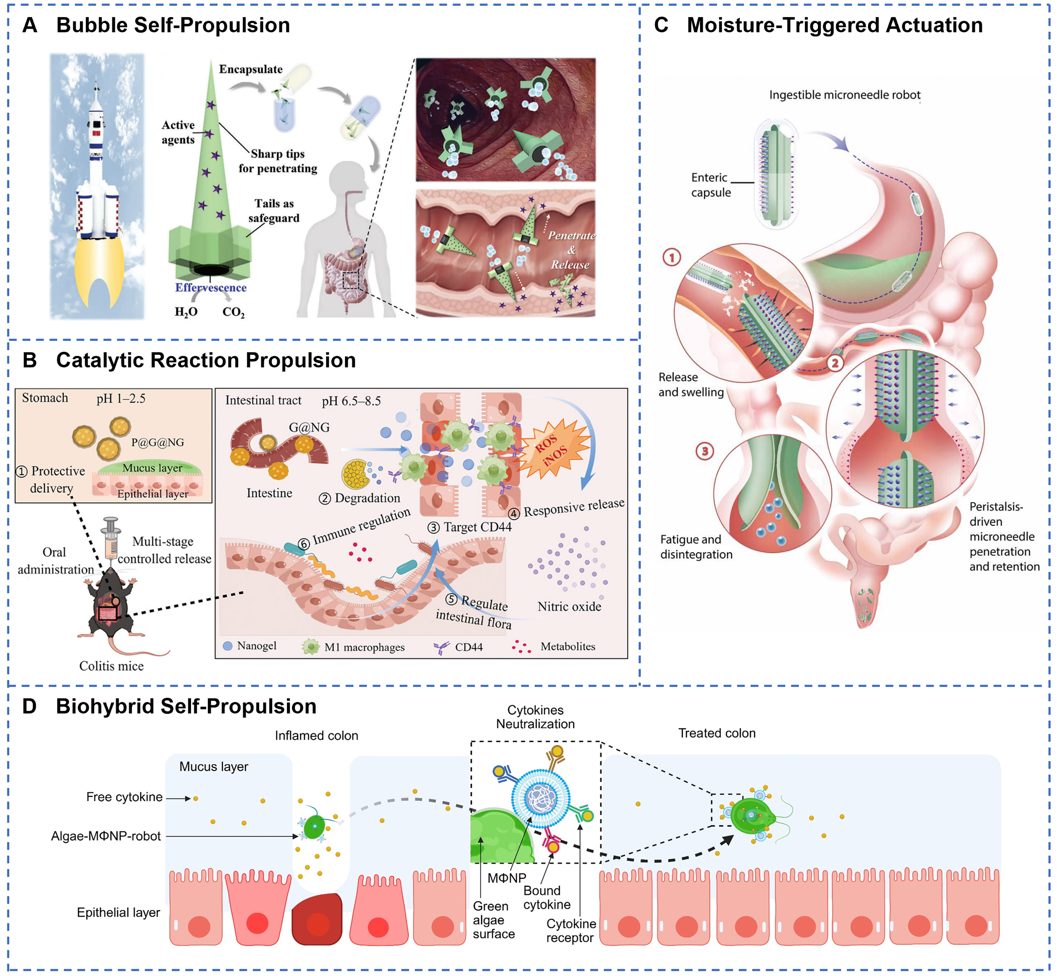 Advances of soft robotics for gastrointestinal tract applications