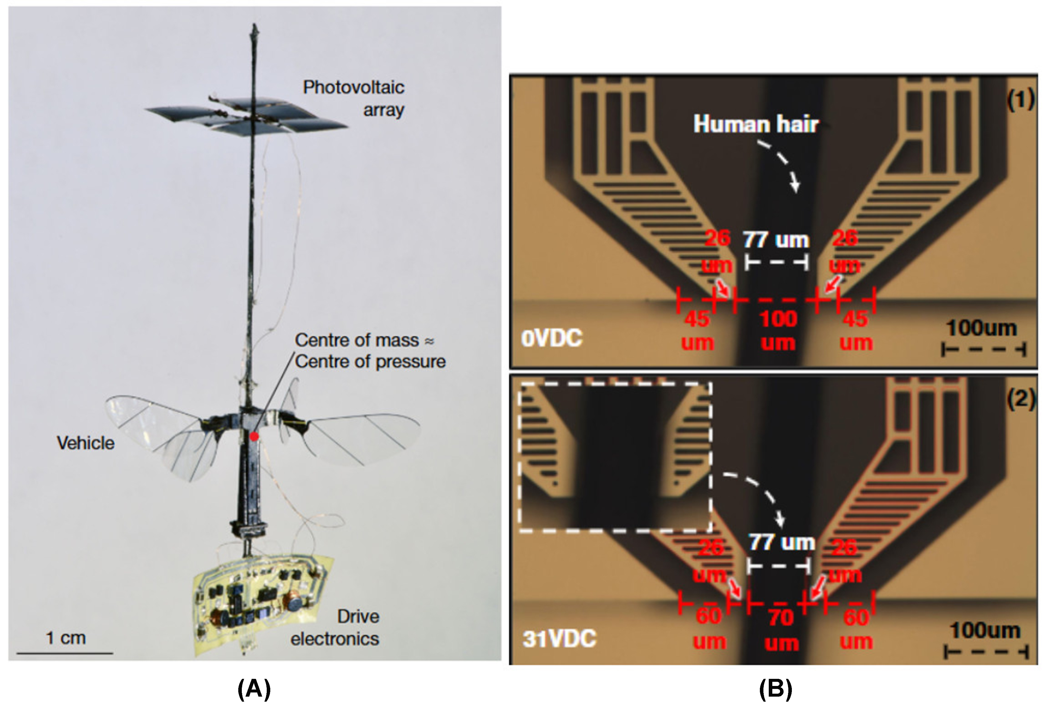 MEMS microrobots: components, applications, design challenges and perspectives