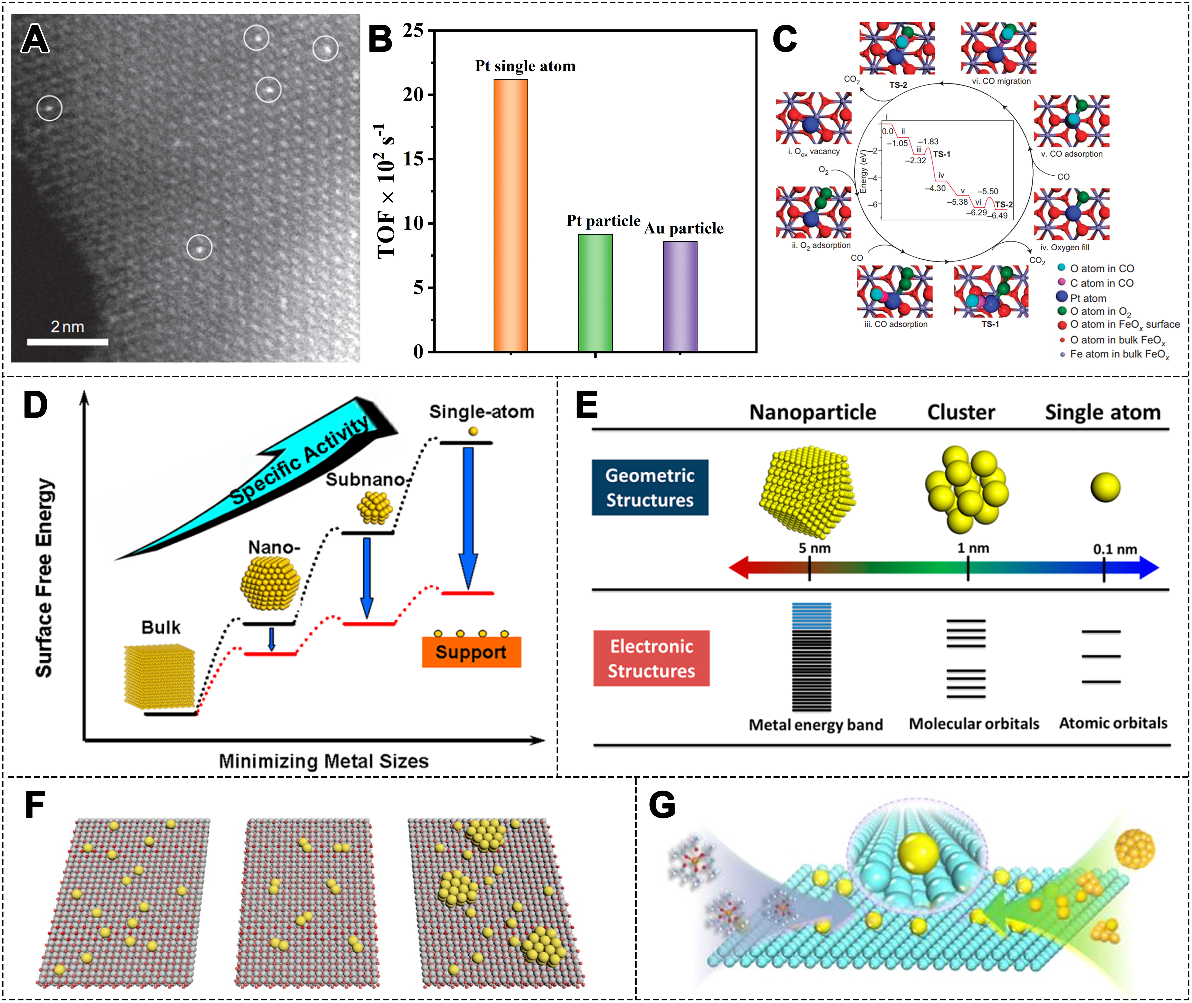 Recent advances of single-atom catalysts in the selective catalytic reduction of NO by CO