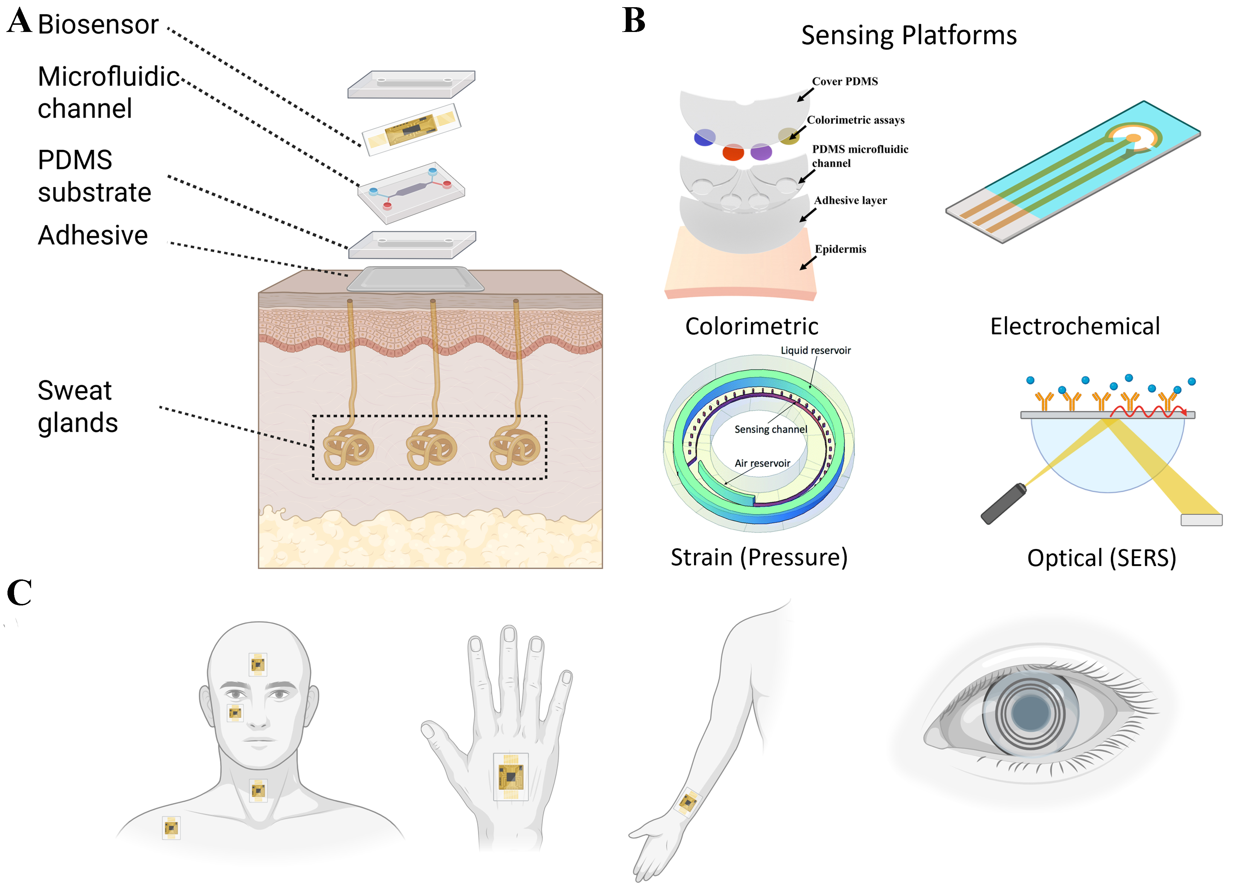 Biomedical sensing applications of soft, wearable microfluidic systems