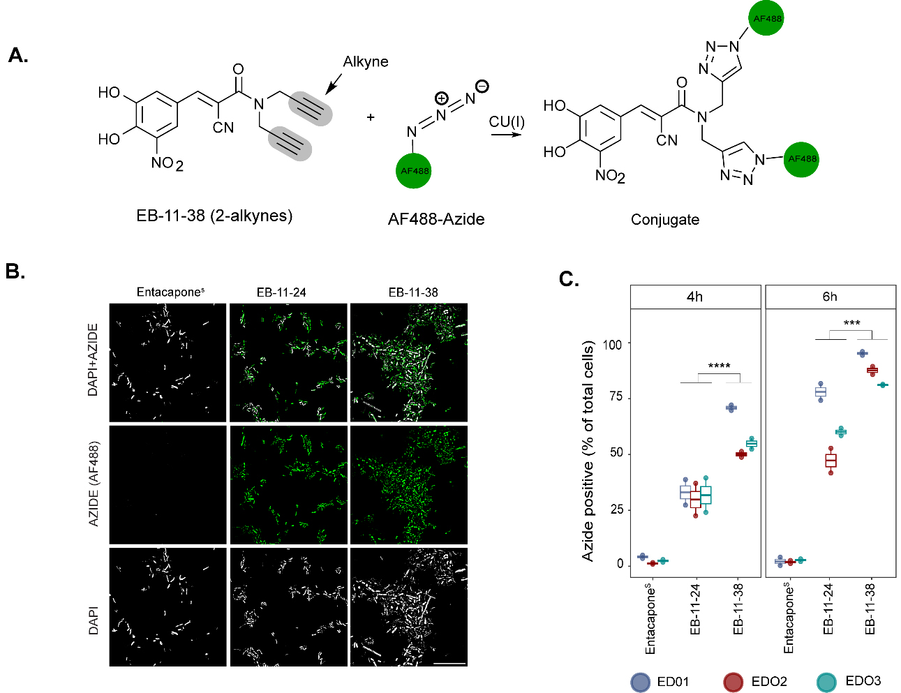 Taxonomic and mechanistic insights into gut microbiota bioaccumulation of entacapone using bioorthogonal drug labelling