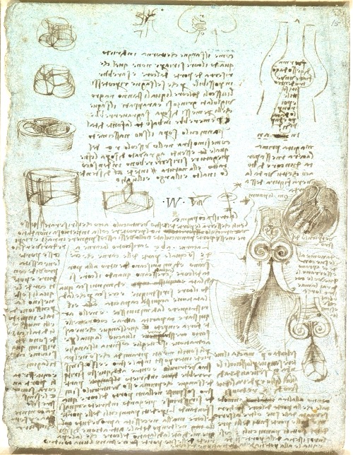 How geometry drives innovation in aortic valve repair