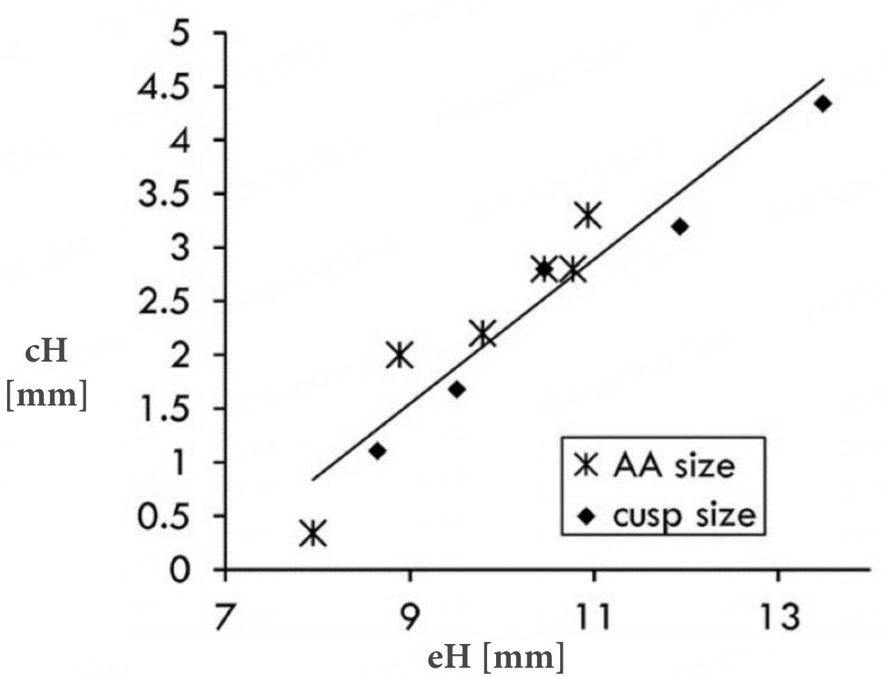How geometry drives innovation in aortic valve repair