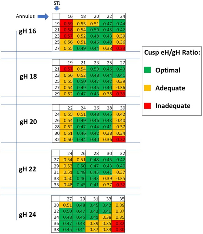 How geometry drives innovation in aortic valve repair
