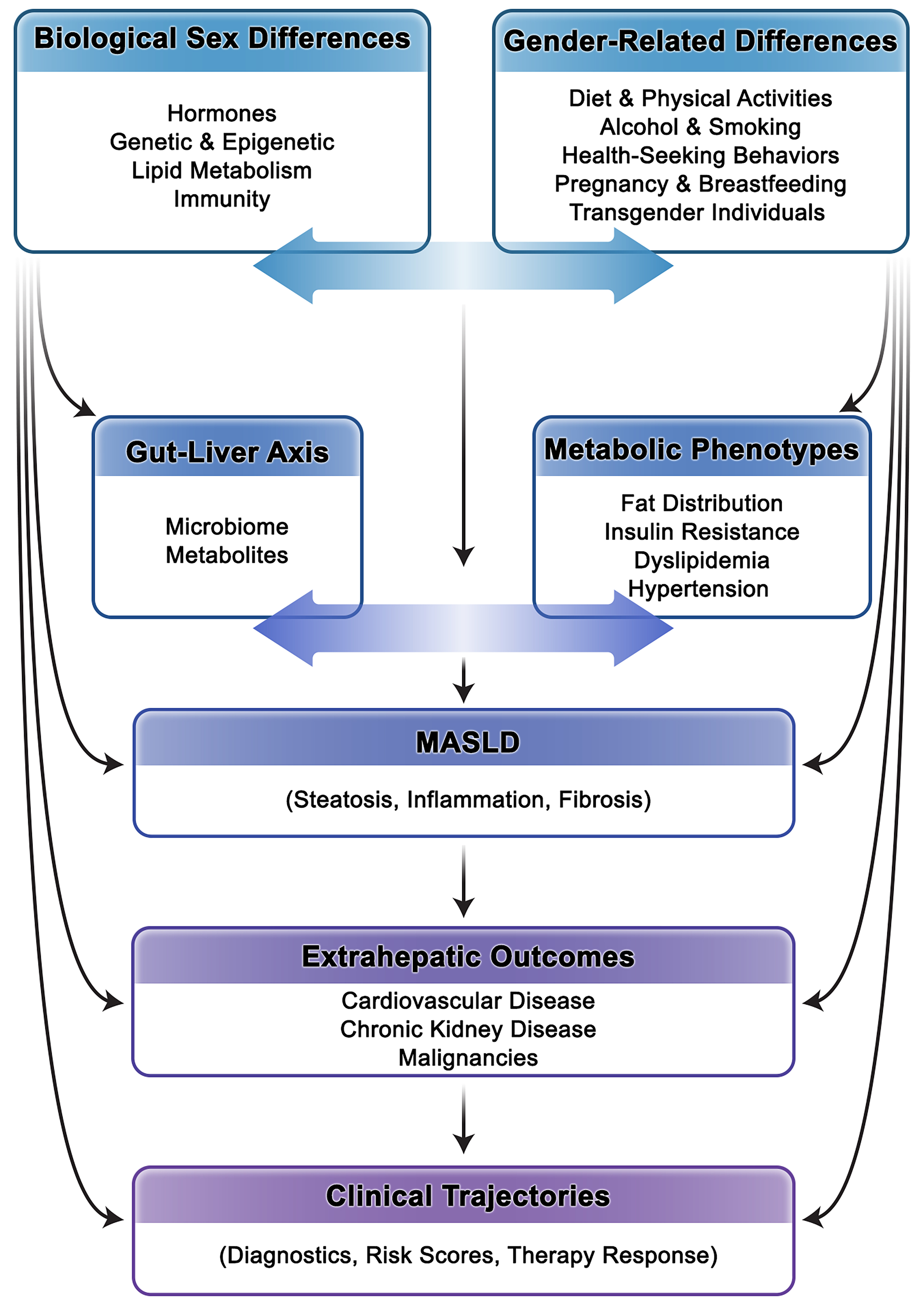 Sex and gender differences in MASLD: pathophysiological mechanisms, clinical implications, and future directions