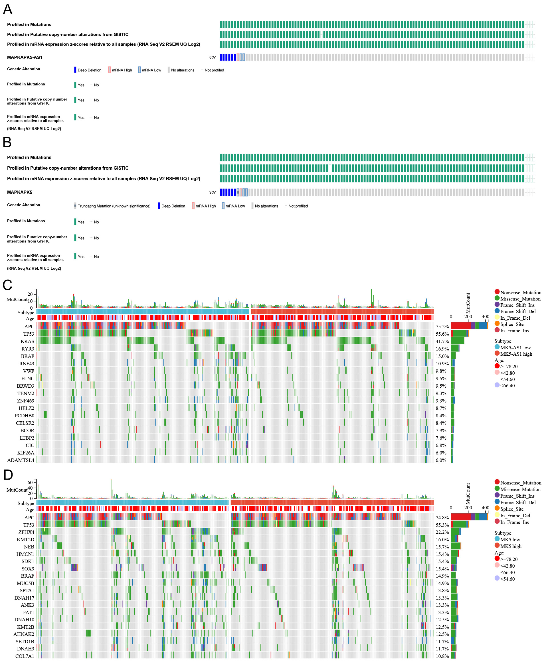 The lnc-MAPKAPK5-AS1 promotes colon cancer-derived liver metastasis via modulating the tumor microenvironment: an <i>in silico</i> study and immunohistochemistry validation