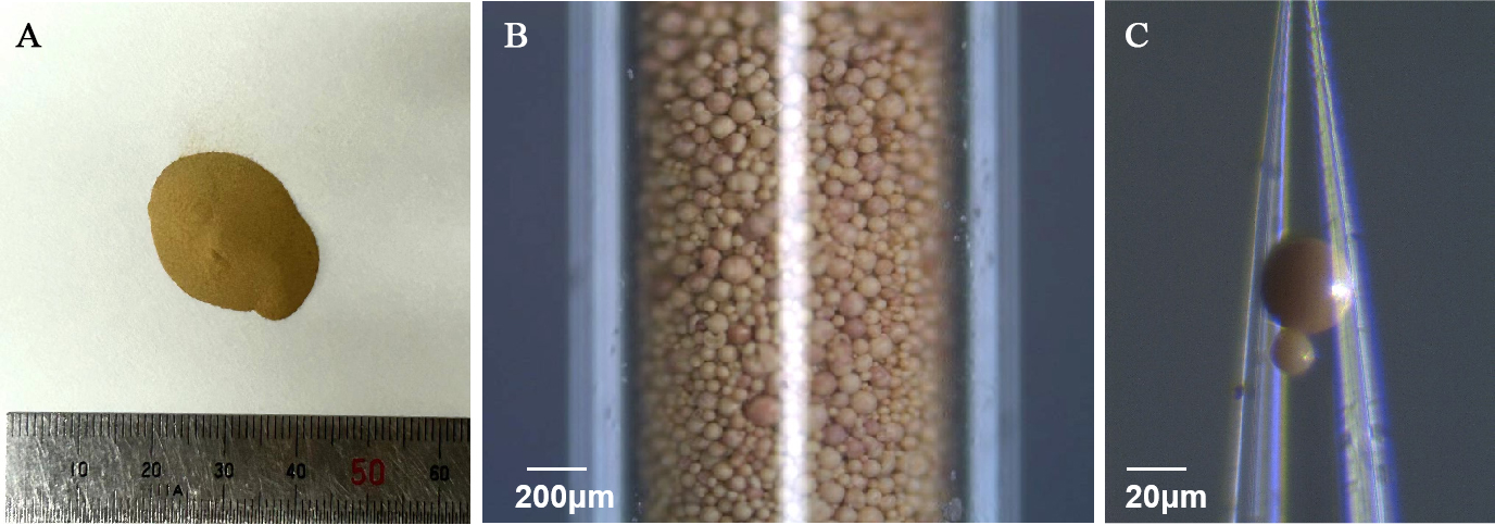 Multiscale multi-technique characterization of the pore network structure for nickel-iron-based industrial catalysts
