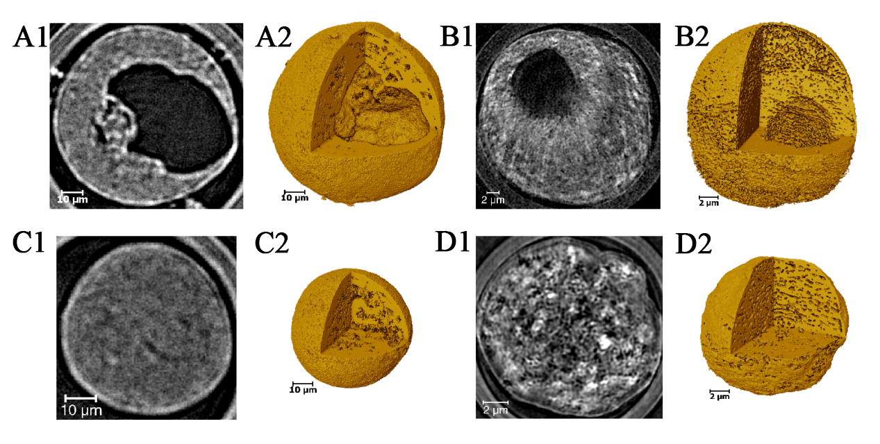 Multiscale multi-technique characterization of the pore network structure for nickel-iron-based industrial catalysts