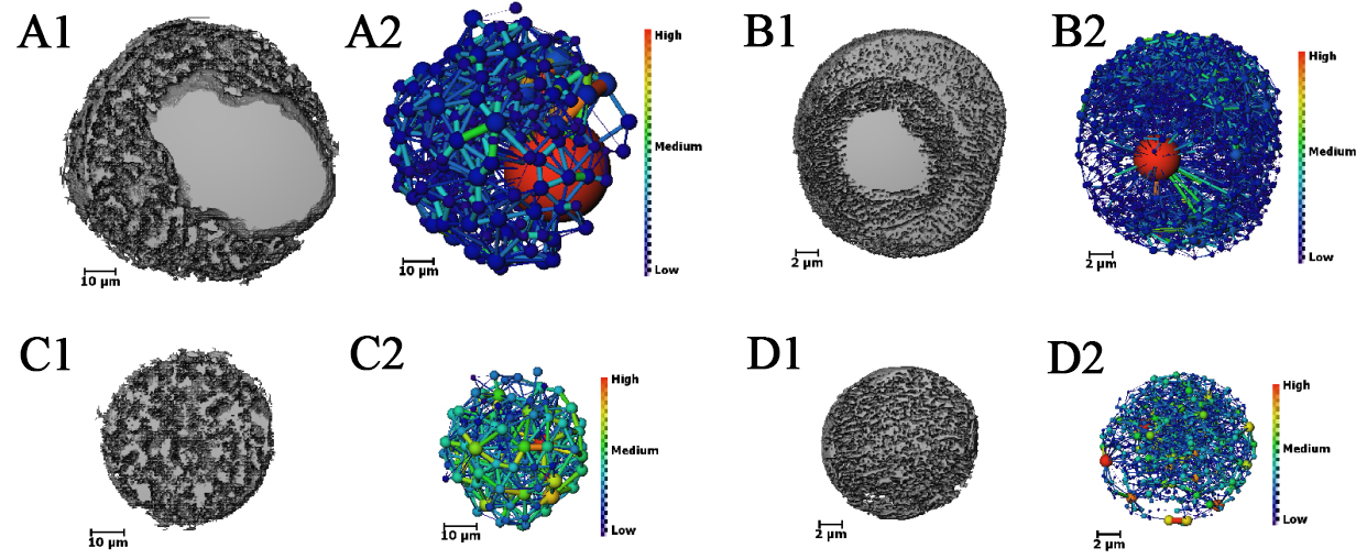 Multiscale multi-technique characterization of the pore network structure for nickel-iron-based industrial catalysts