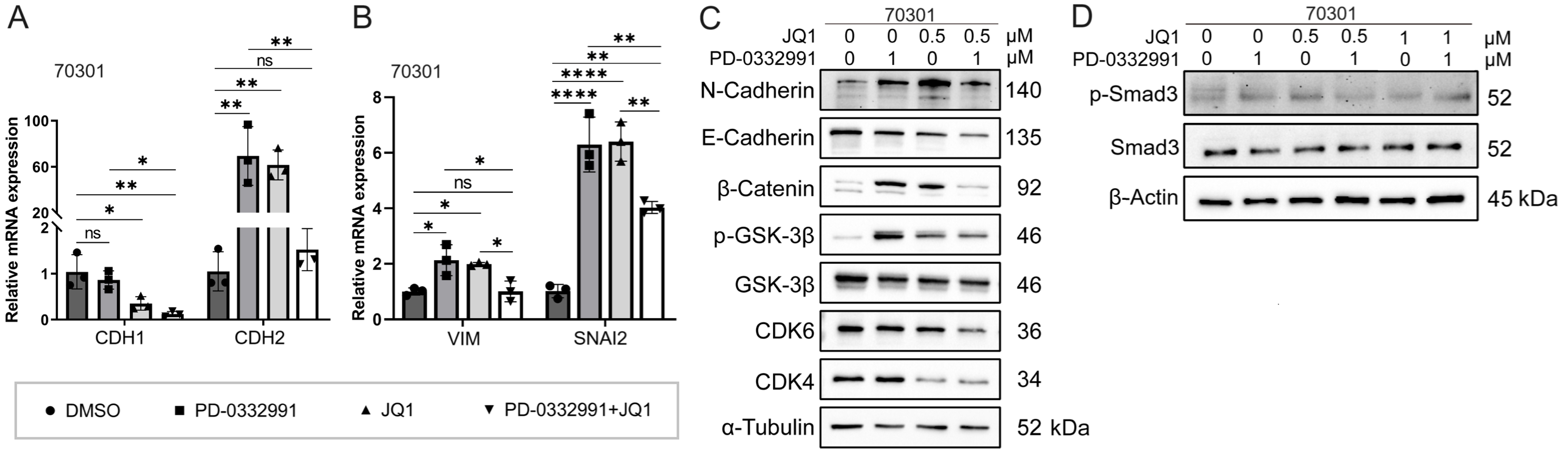 CDK4/6 and BET inhibitors synergistically suppress pancreatic tumor growth and epithelial-to-mesenchymal transition by regulating the GSK3β-mediated Wnt/β-catenin pathway