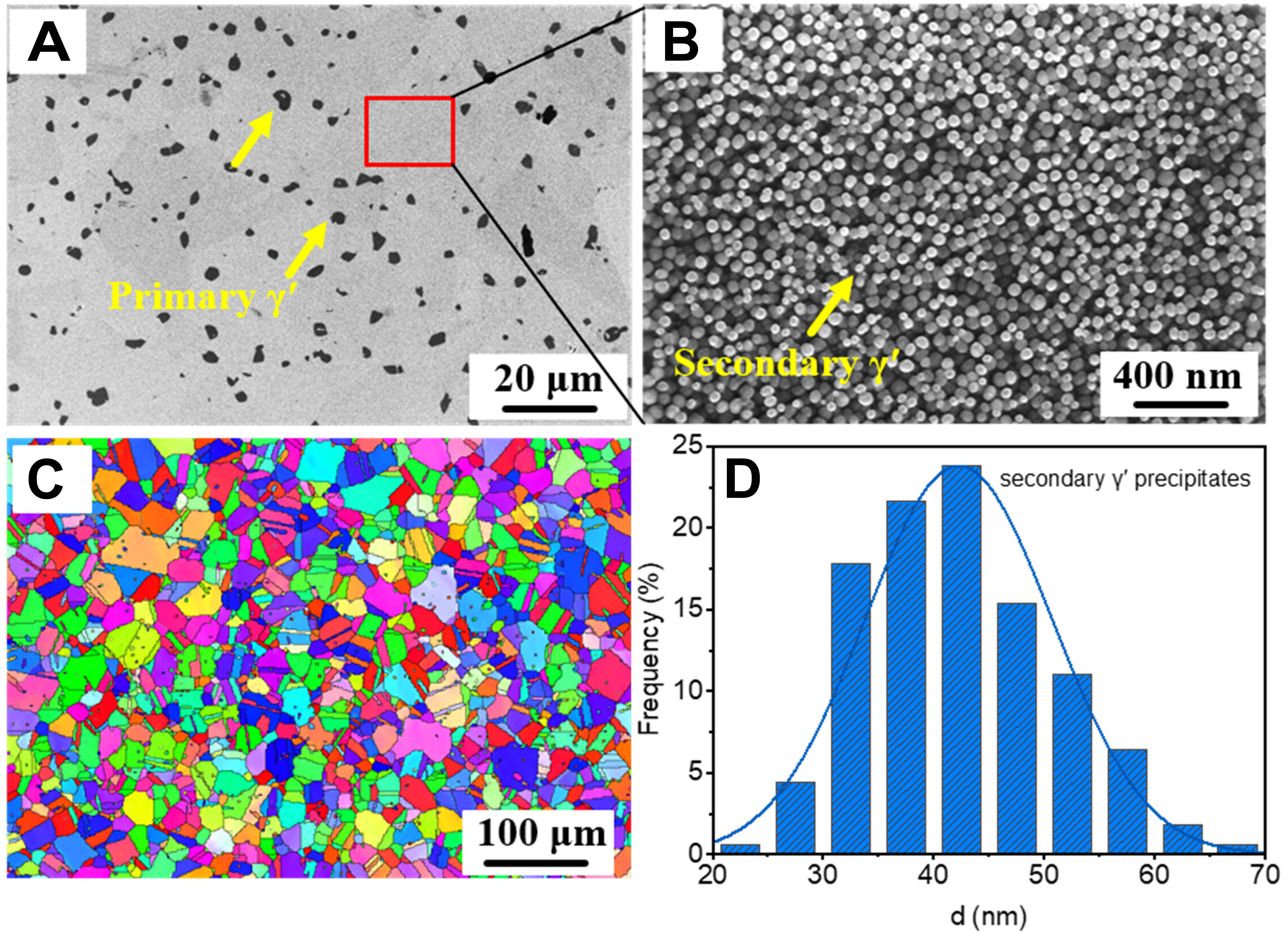 Microscopic insights into the mechanical behavior of a Ni-Co-based superalloy through <i>in-situ</i> neutron diffraction