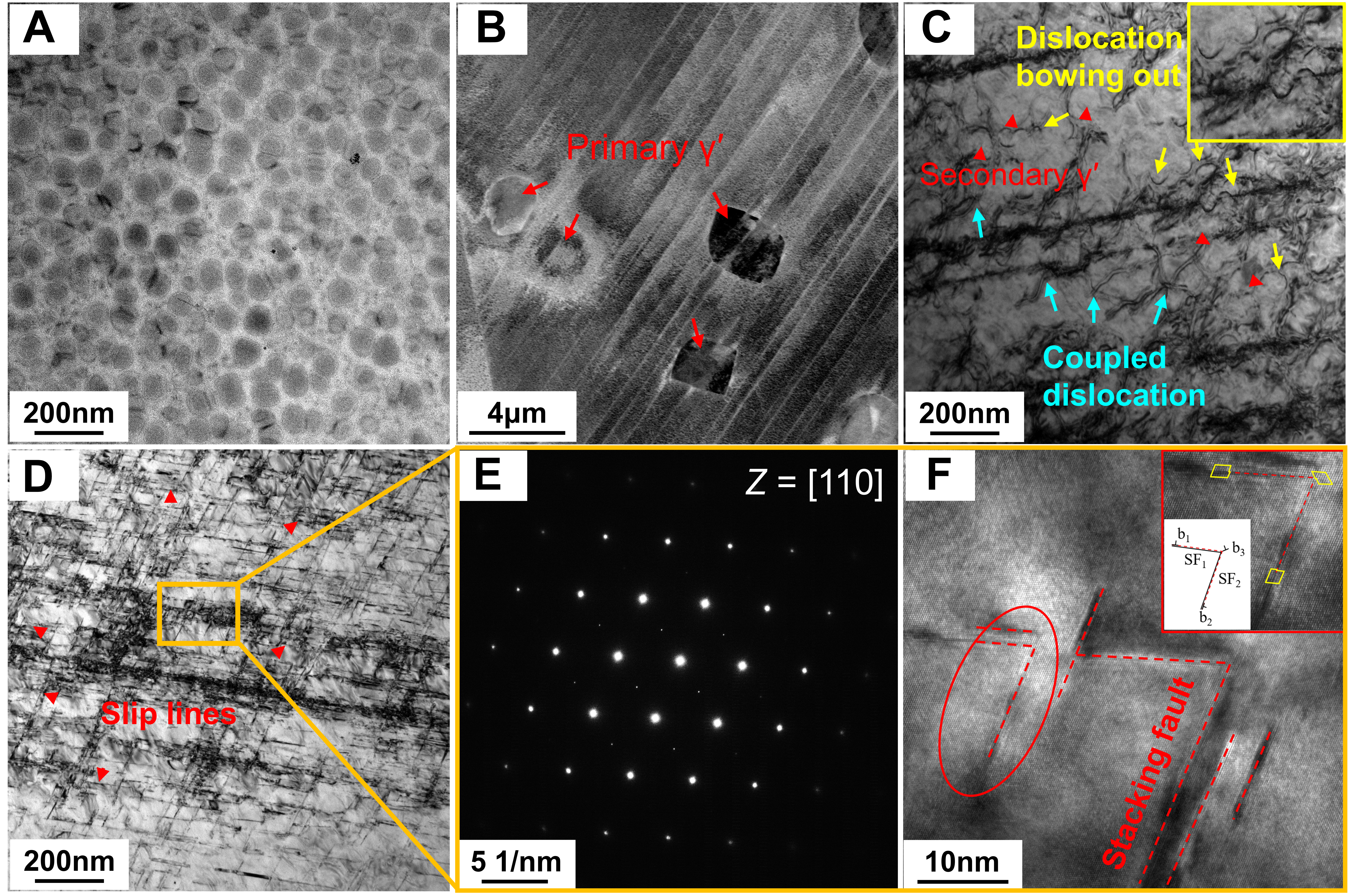 Microscopic insights into the mechanical behavior of a Ni-Co-based superalloy through <i>in-situ</i> neutron diffraction